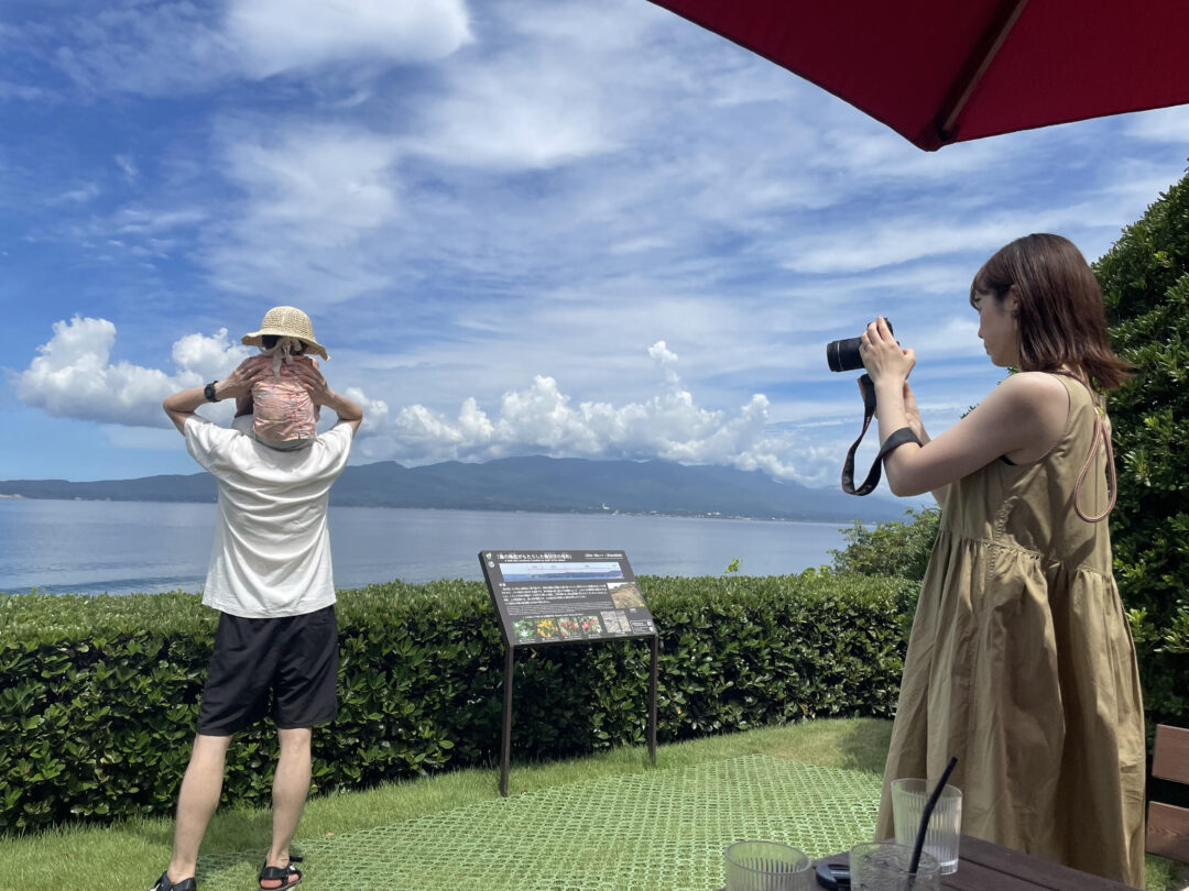 屋敷林と田を渡る風の画像