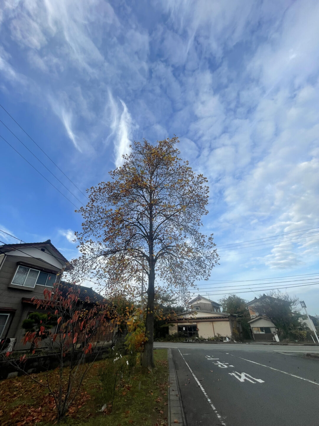 大上段の画像