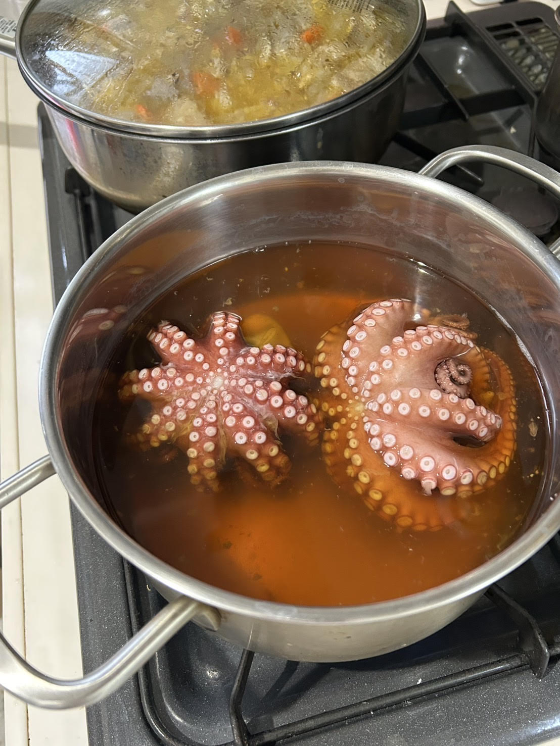 ファイトの画像