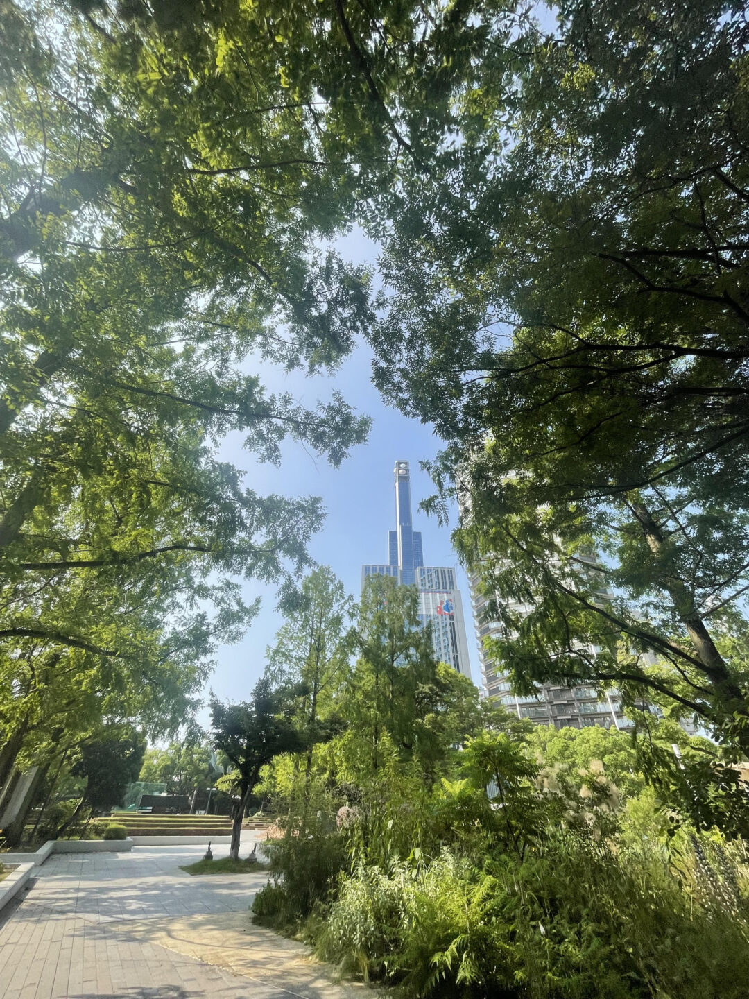 月のかがやくきよさの画像
