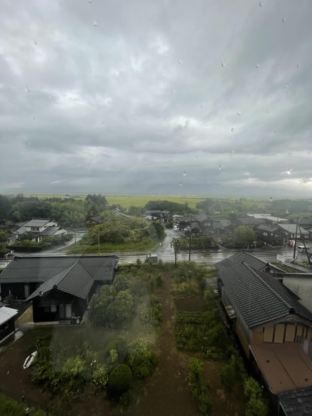 研究の画像