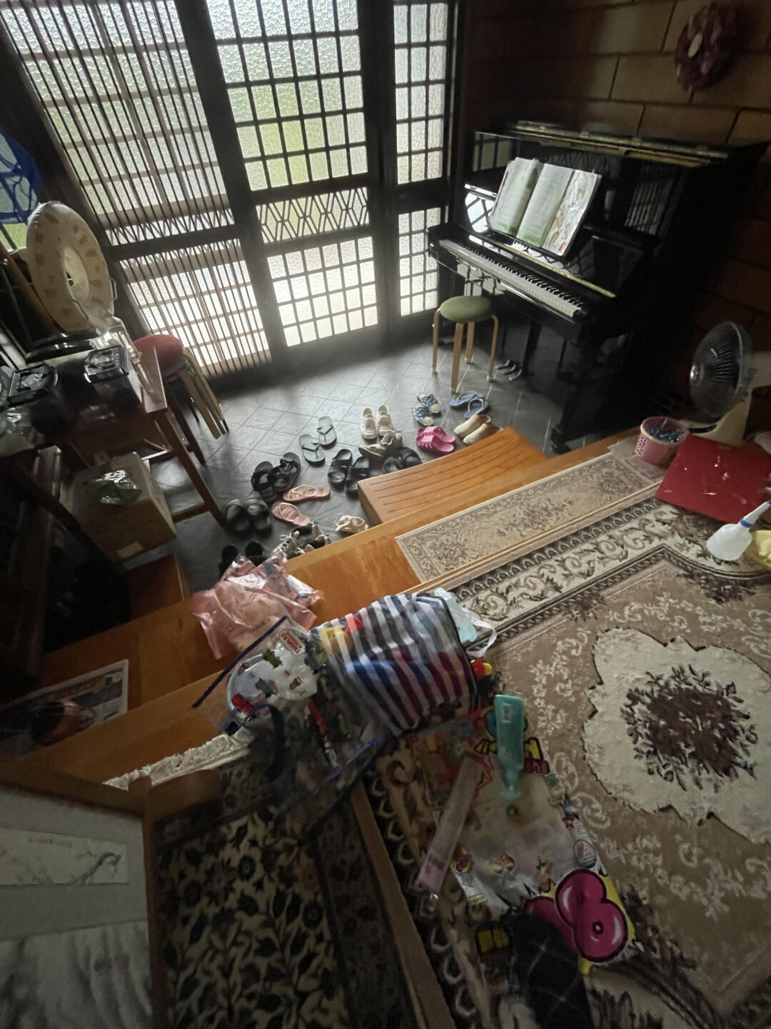 藻の化石の画像