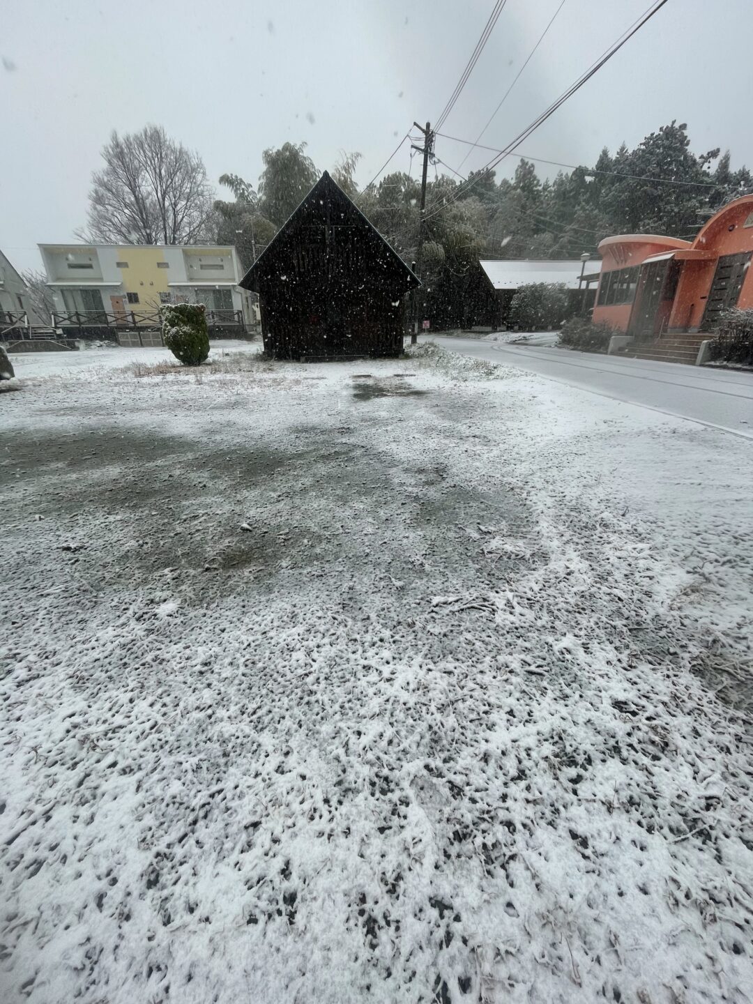 整理するの画像