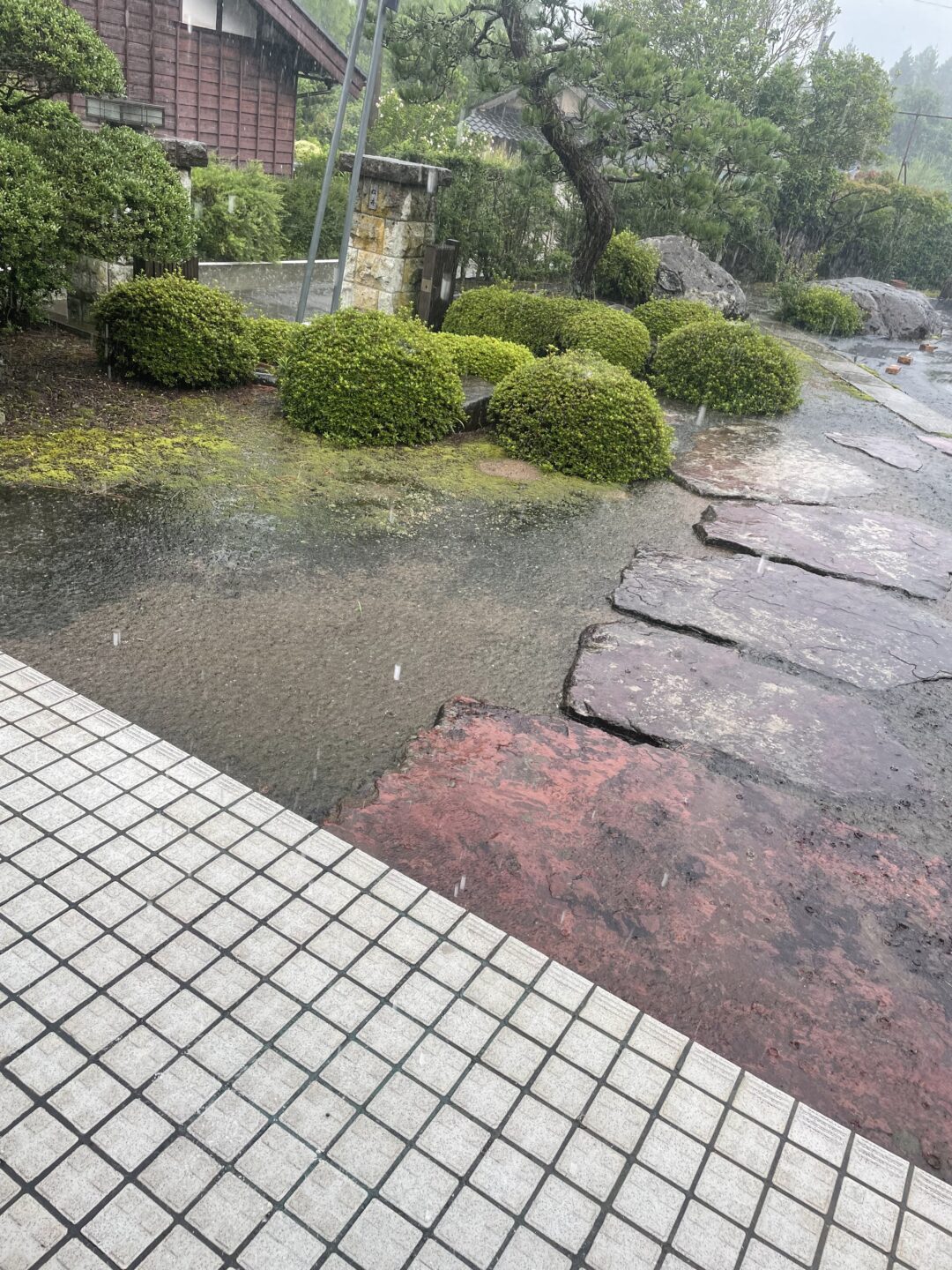夏風邪の画像