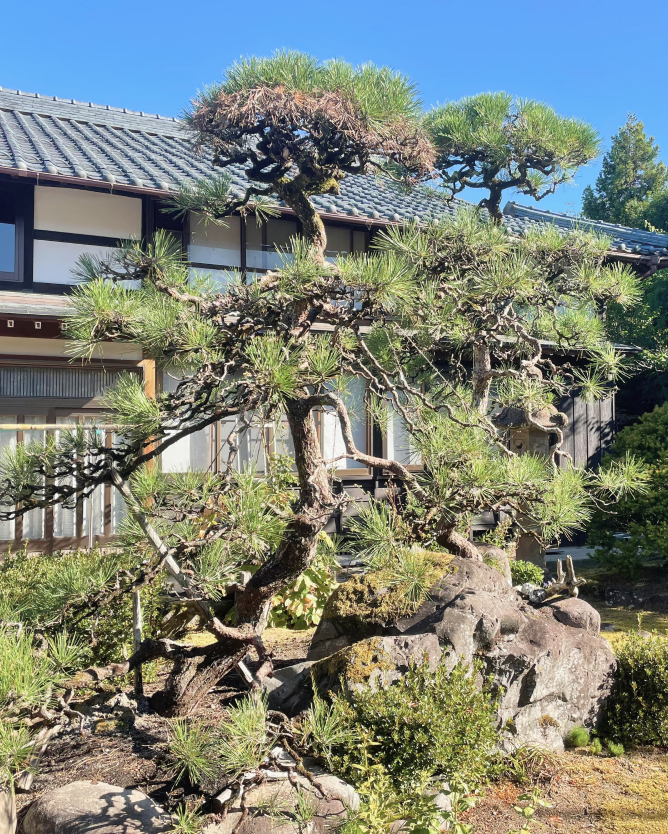 深山荘の写真